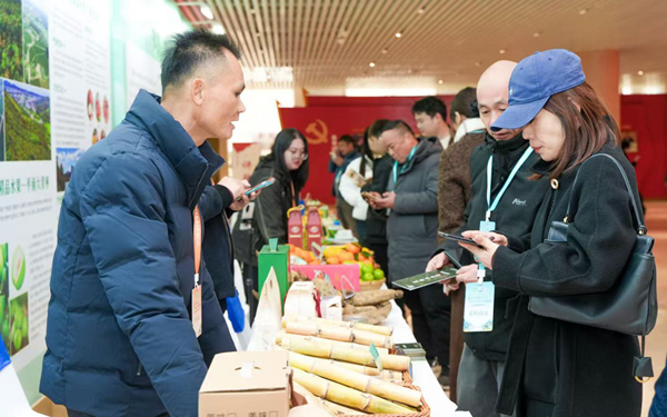 贵港市特色农产品品牌产品展示体验现场。主办方供图