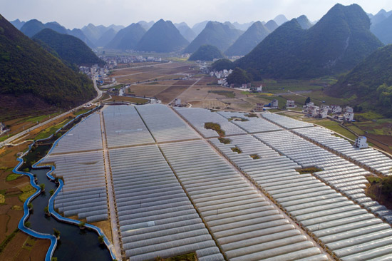 乐业县甘田高山蔬菜基地