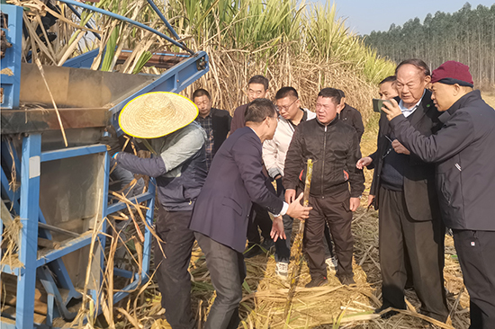 罗锡文院士团队实地探访。