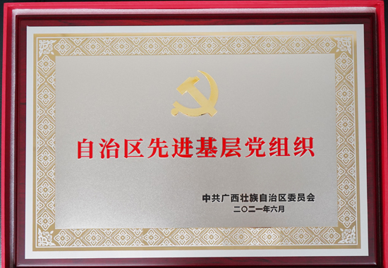 贺州市职业教育发展中心2021年被评为“自治区先进基层党组织”