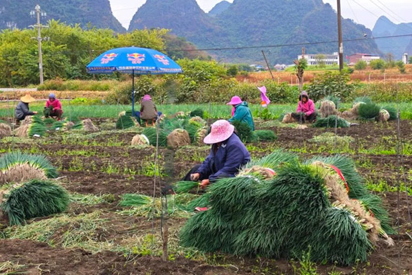 柳江区：生态宜居新三都