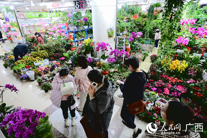 市民正在挑选年宵花。人民网 雷琦竣摄