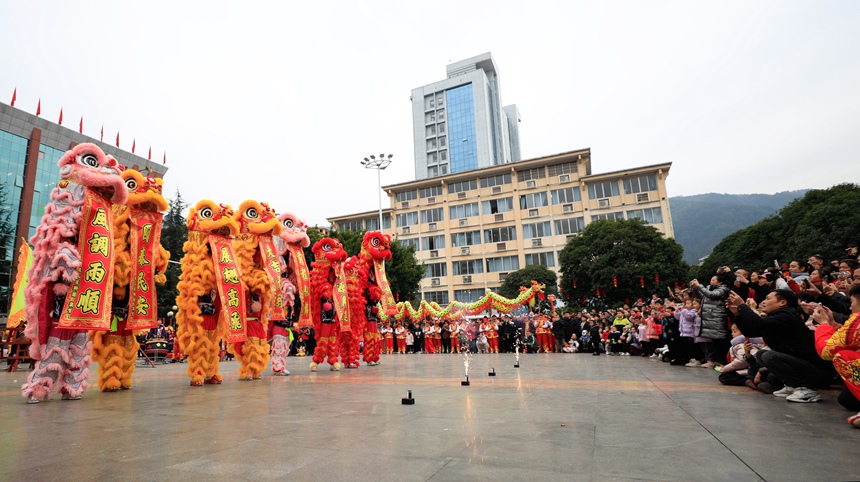 狮群向现场观众送上祝福