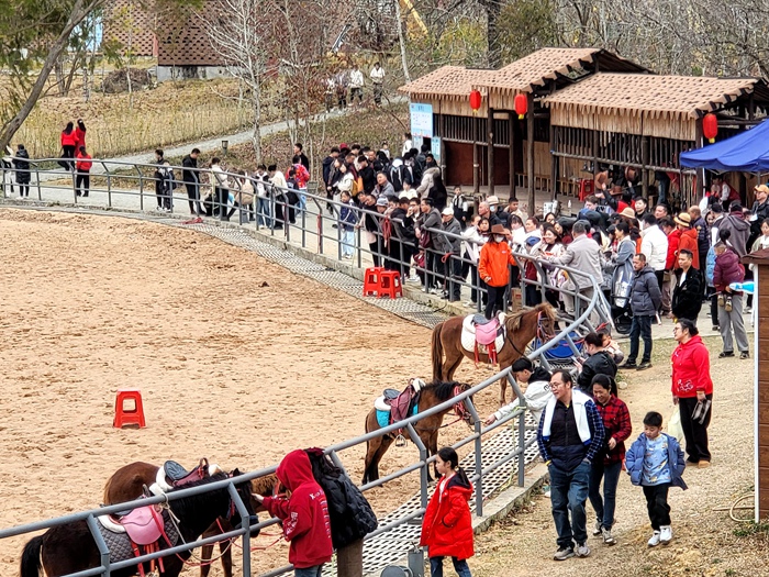 矮马王国景区游客体验骑马。黄玉满摄