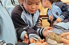 地调院：带领小学生探索地质奥秘