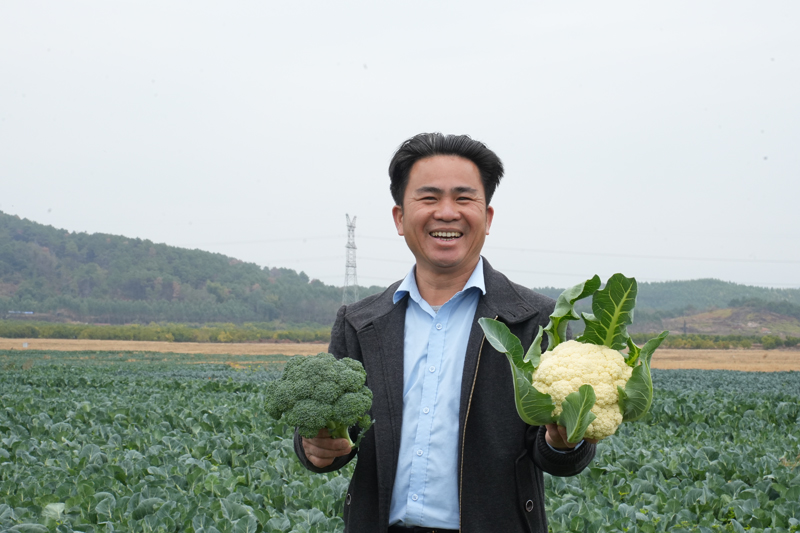 岑延杰介紹自己種植的西蘭花。