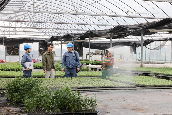 黨員服務隊到廣西靈山縣新圩鎮堯家村強坤種苗基地走訪，向基地負責人蘇茂捌了解蔬菜種苗培育情況和用電需求。陳心誠攝