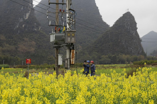 荔浦供電局青山供電所員工到田間開展安全用電檢查。謝忠敏攝