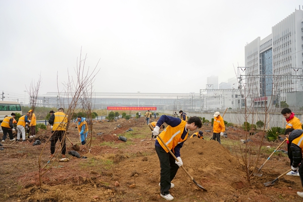 南寧東站附近義務植樹活動現場。李鈺丹攝