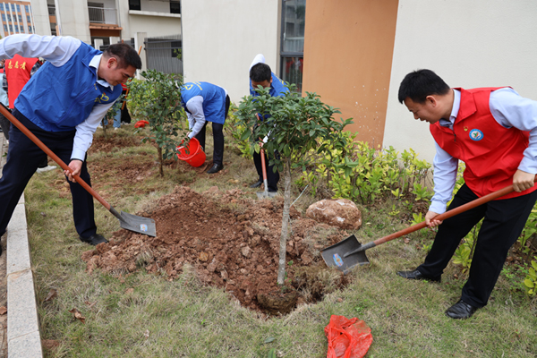 植树活动现场。建行广西区分行供图