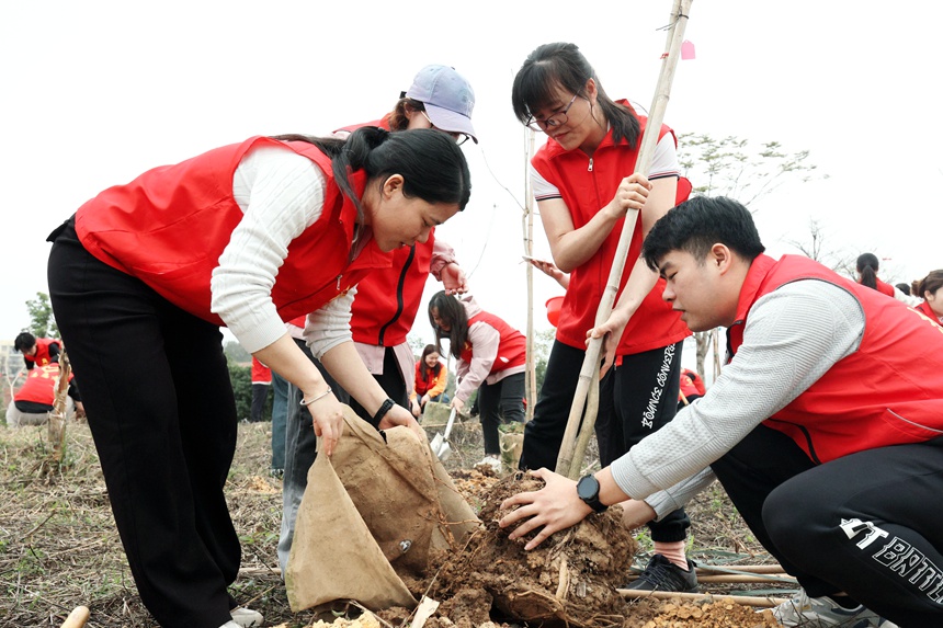 植树活动现场。毛源摄