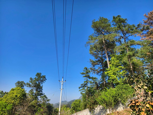 经过清理后的线路通道焕然一新。