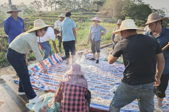 平朗镇秋江村抽水引流灌溉农田