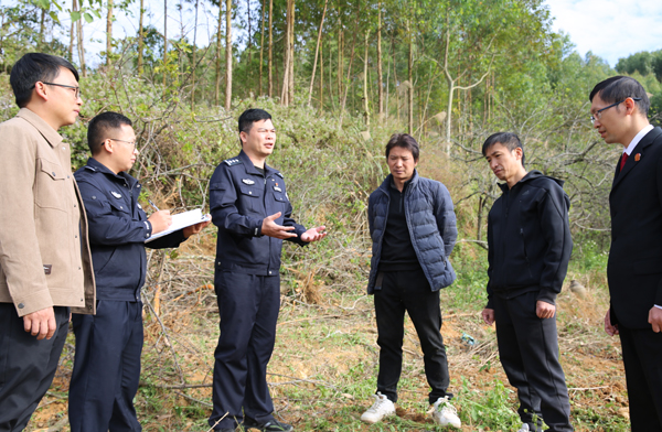 派出所所长和法院法官到现场调解林地纠纷