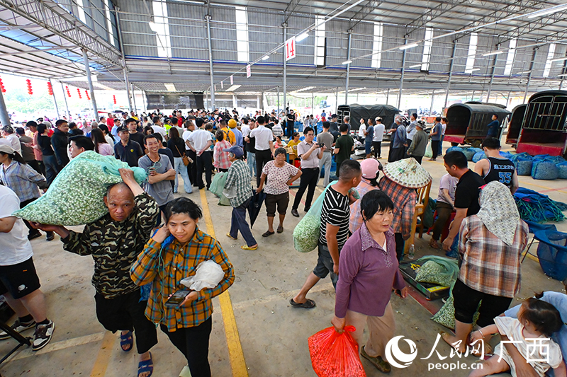 茉莉花交易市场十分热闹。人民网 雷琦竣摄