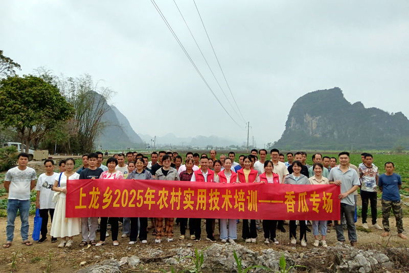 上龍鄉舉辦香瓜種植技術培訓班。