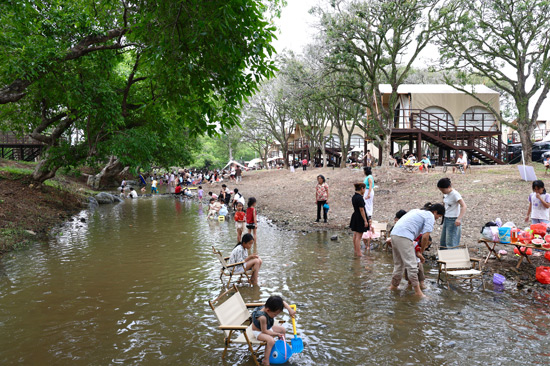 三灘桂圓營地內，游客在盡情享受溪水清涼。