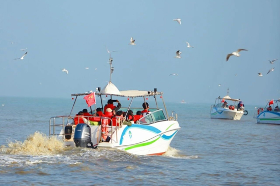 游客乘坐广旅海豚湾公司游船出海寻豚。广旅集团供图