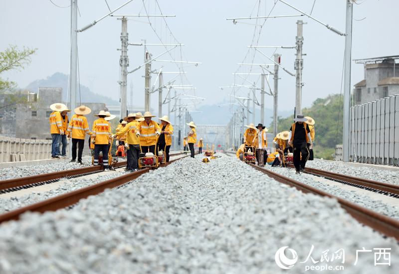 國鐵南寧局職工正在對南憑高鐵崇憑段線路進行軌道精調。