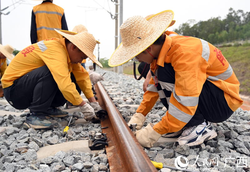 國鐵南寧局職工正在對南憑高鐵崇憑段線路進行軌道精調。