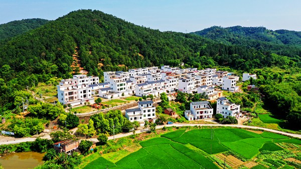 奇冲村鸟瞰