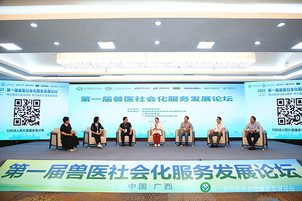 圆桌论坛环节。主办方供图