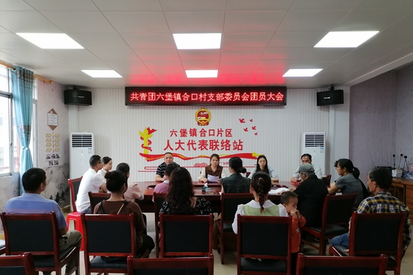 召開共青團六堡鎮合口村支部委員會團員大會