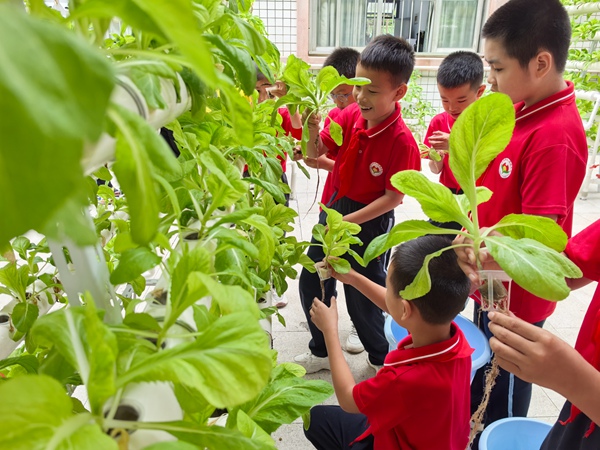 南宁市衡阳路小学师生参与劳动基地建设