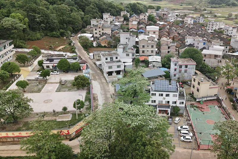 高橋村。何善權攝