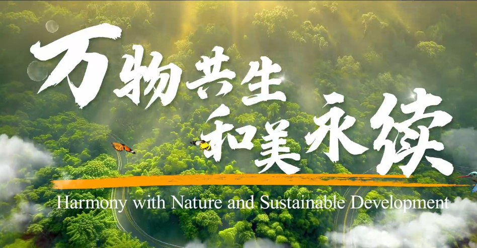 2025年国际生物多样性日主题宣传片