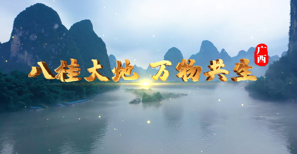 保护生物多样性•主题宣传片| 广西篇