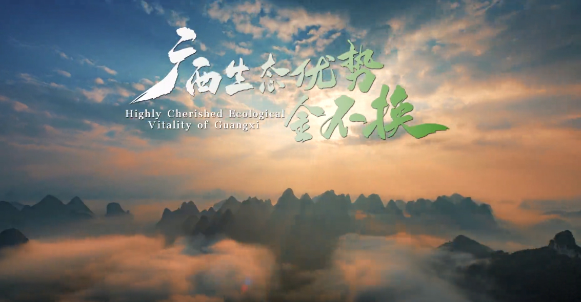 2024年六五环境日国家主场（广西）宣传片