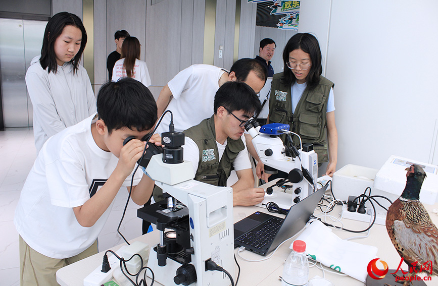 参观者观察动植物标本。