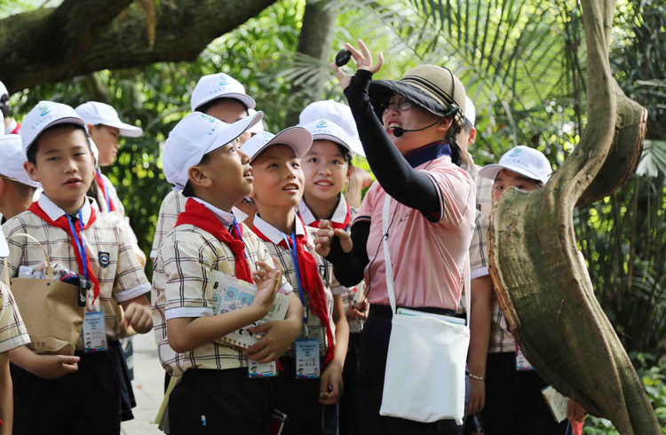 南宁市虹桥小学学生走进广西药用植物园，探索药用植物的奇妙世界。