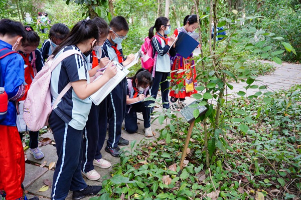 孩子们在广西药用博物馆实践研学