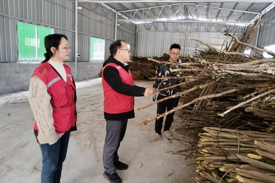 双达村第一书记冯仕恒（中）和工作队员在了解村级中药材厂药材收购情况。罗希海摄