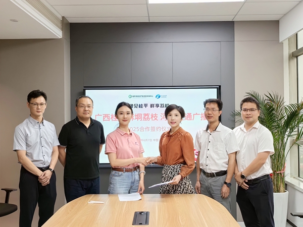 双方签约后，桂平荔枝将大规模走进中原市场。