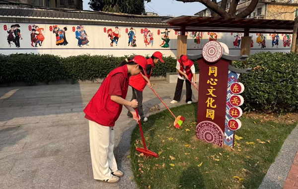 开展清洁整治环境志愿活动