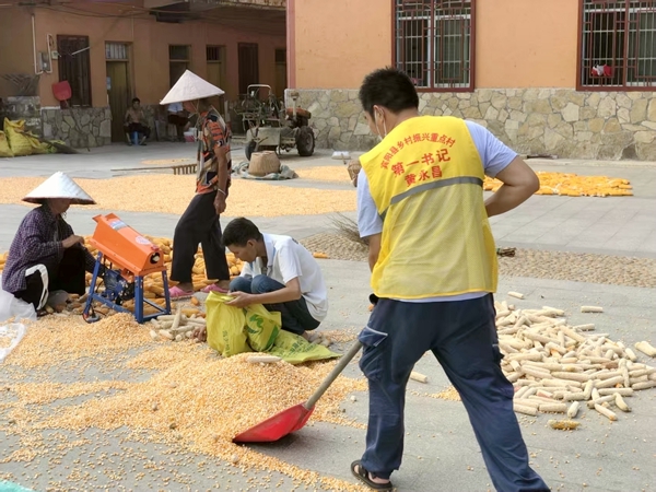 黄永昌为帮助脱贫户开展玉米脱壳工作。