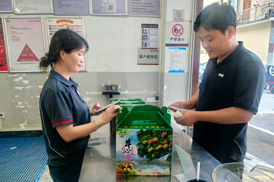果农正在邮寄牛心李。周俊位摄