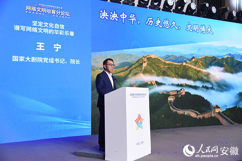 国家大剧院党组书记、院长王宁。