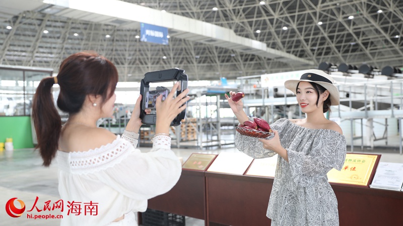 网络博主“种草”昌江甘薯。