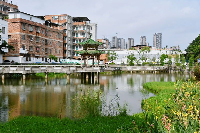南宁市江南区：疏通城市“毛细血管”
