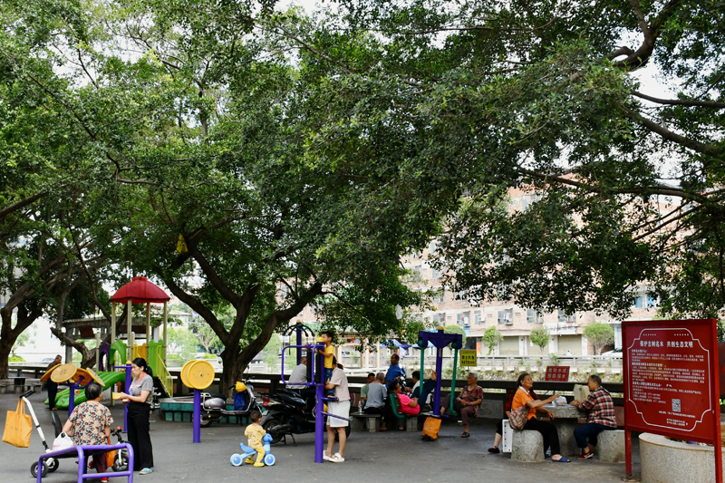 新屋村热闹景象。中交一公局四公司供图