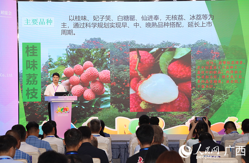 对接会现场。人民网 付华周摄