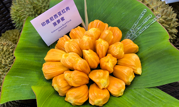 果彩缤纷 东盟名果汇聚广西上演水果嘉年华