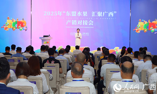 2025年“东盟水果 汇聚广西”产销对接会举行