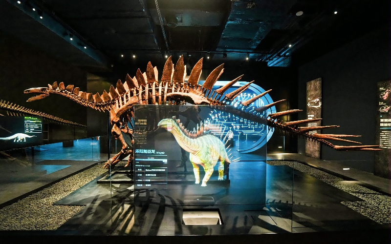 廣西規劃館·恐龍奧秘科學館啟幕 打造AI+恐龍主題科普文旅新范式