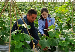 税惠精准服务助春耕