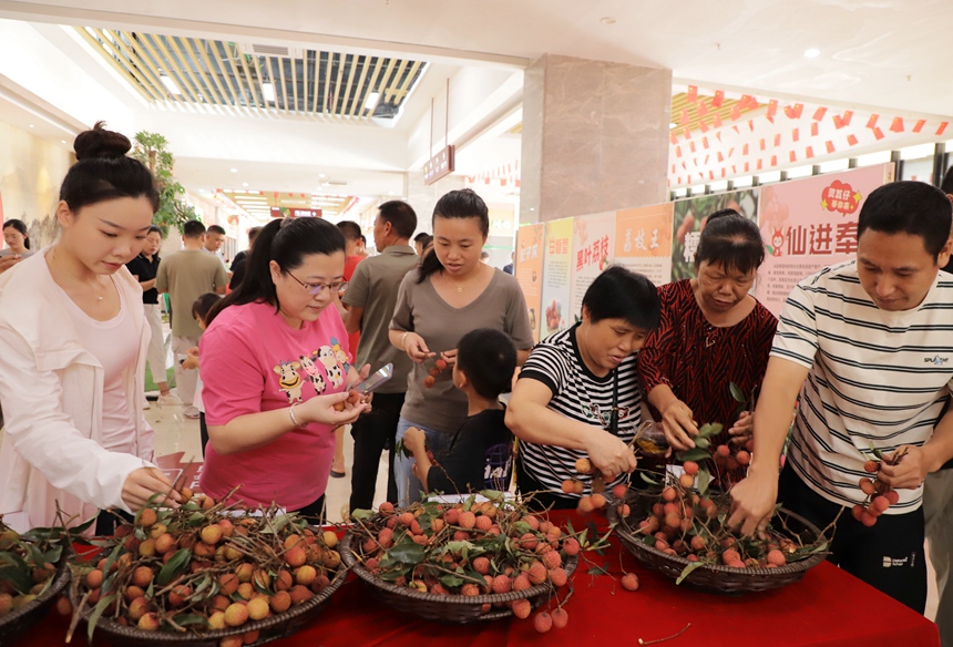 “荔”乡有礼区域，邀请司乘免费品尝新鲜的荔枝